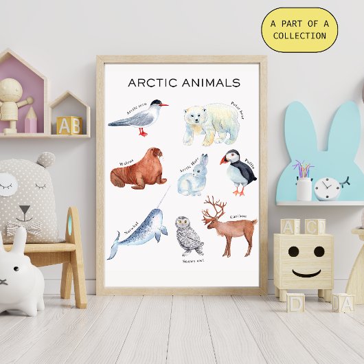 Arctic Animals Educational Poster ポスター