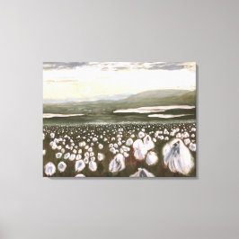 Arctic Cottonのフィールド：キャンバス印刷標準 キャンバスプリント