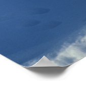 Arctic fox Alopex lagopus)北極狐 ポスター (角)