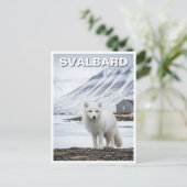 Arctic Fox in Svalbard Norway ポストカード (スタンド正面)