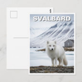 Arctic Fox in Svalbard Norway ポストカード (正面/裏面)