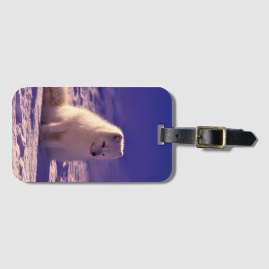 Arctic Fox Winter Snow Landscape ラゲッジタグ (正面横)