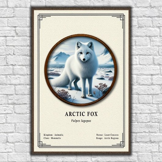 Arctic Fox Zoology Series ポスター