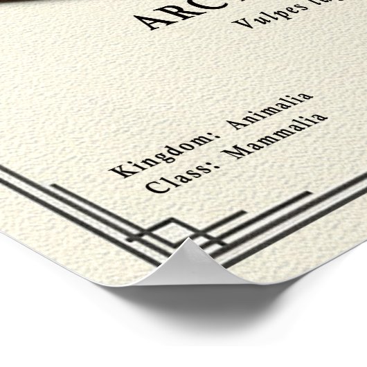 Arctic Fox Zoology Series ポスター (角)