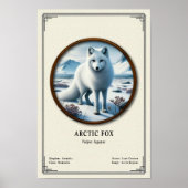 Arctic Fox Zoology Series ポスター (正面)