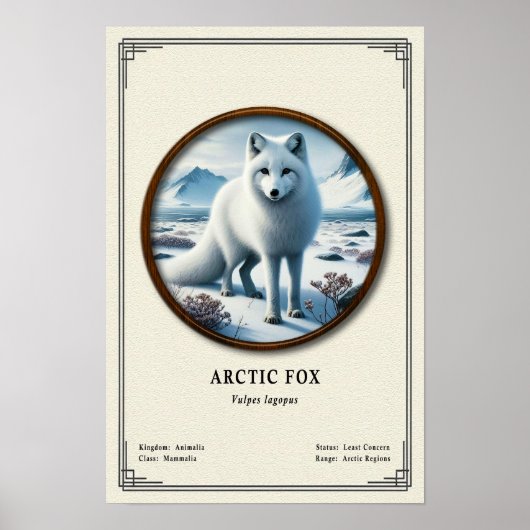 Arctic Fox Zoology Series ポスター (正面)