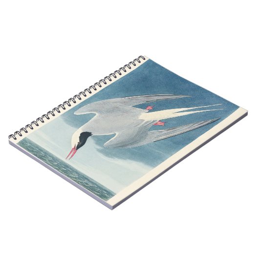 Arctic Tern Audubon Bird Wildlife Artwork ノートブック (左側)