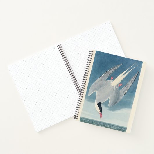Arctic Tern Audubon Bird Wildlife Artwork ノートブック (内部)