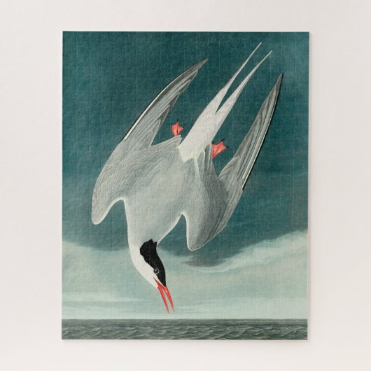 Arctic Tern Audubon Bird Wildlife Painting ジグソーパズル (縦)