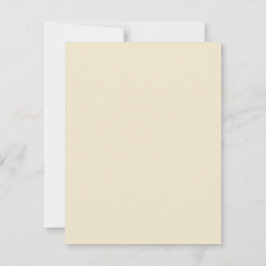 Arctic Tern by John James Audubon, Birdsヴィンテージ (裏面)