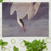 Arctic Tern by John James Audubon, Birdsヴィンテージ キッチンタオル (折り畳み)