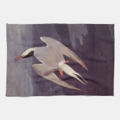 Arctic Tern by John James Audubon, Birdsヴィンテージ キッチンタオル (横)