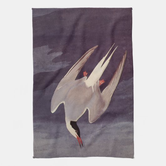 Arctic Tern by John James Audubon, Birdsヴィンテージ キッチンタオル (縦)