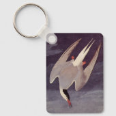 Arctic Tern by John James Audubon, Birdsヴィンテージ キーホルダー (正面)