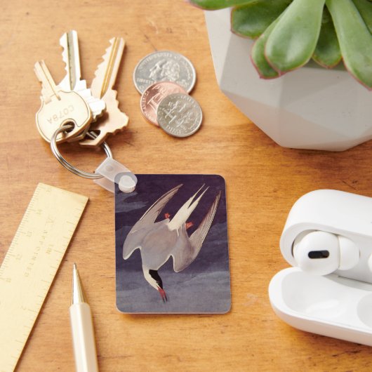 Arctic Tern by John James Audubon, Birdsヴィンテージ キーホルダー (デスク)