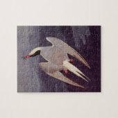 Arctic Tern by John James Audubon, Birdsヴィンテージ ジグソーパズル (横)