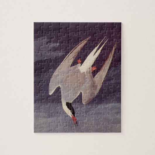 Arctic Tern by John James Audubon, Birdsヴィンテージ ジグソーパズル (縦)