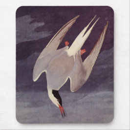 Arctic Tern by John James Audubon, Birdsヴィンテージ マウスパッド
