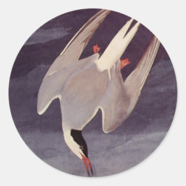 Arctic Tern by John James Audubon, Birdsヴィンテージ ラウンドシール