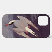 Arctic Tern by John James Audubon, Birdsヴィンテージ Case-Mate iPhoneケース (裏面 (横))