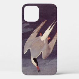Arctic Tern by John James Audubon, Birdsヴィンテージ iPhone 12ケース