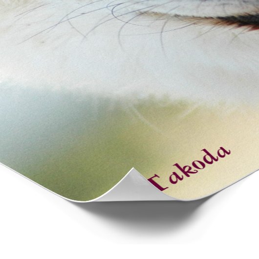 Arctic Wolf Poster ポスター (角)