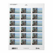 Arctic Wolves～ギフトラベルからスタンプ ラベル (フルシート)