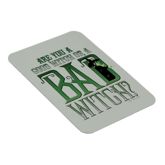 Are You A Good Witch Or A Bad Witch? マグネット (右側)