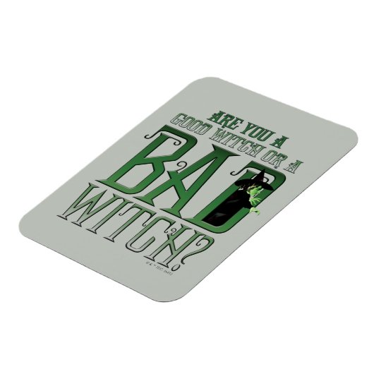 Are You A Good Witch Or A Bad Witch? マグネット (左側)