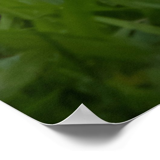 Are You Ready ポスター (角)