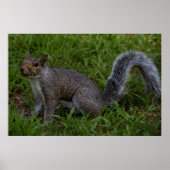 Are You Ready ポスター (正面)