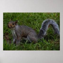 Are You Ready ポスター