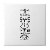 Areciboバイナリメッセージ1974 タイル (正面)