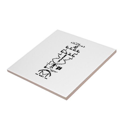 Areciboバイナリメッセージ1974 タイル (側面)