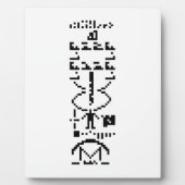 Areciboバイナリメッセージ1974 フォトプラーク (正面)