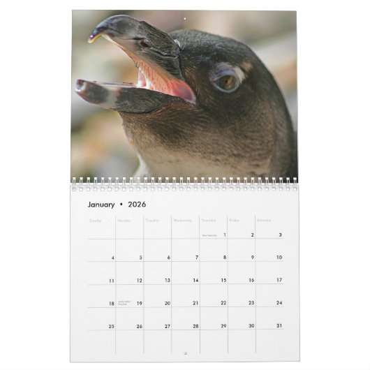 Aremacのギャラリーによって作成される2011匹の動物のカレンダー カレンダー (1月 2026)