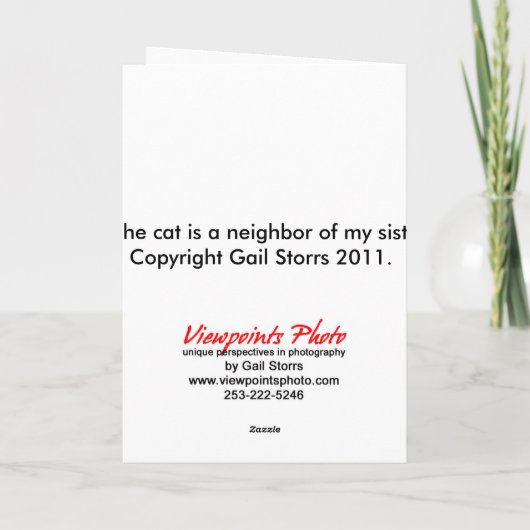 Arg誕生日カード3 カード (裏面)