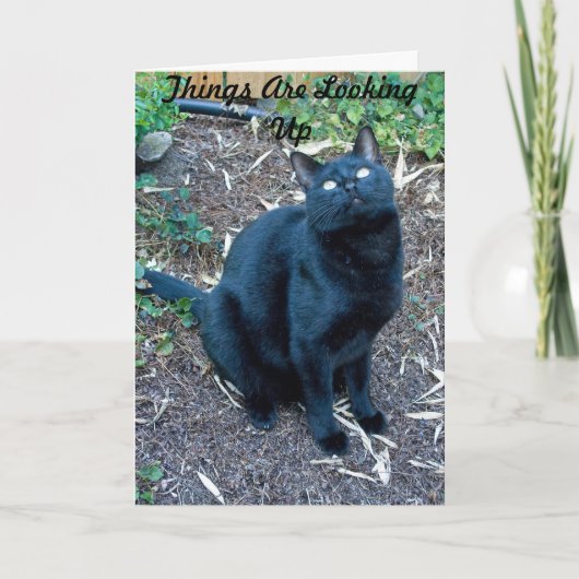 Arg誕生日カード3 カード (正面)