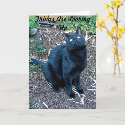 Arg誕生日カード3 カード (黄色い花)