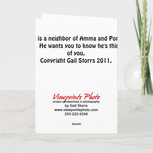 Arg誕生日カード3 カード (裏面)