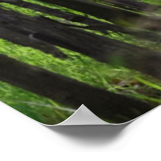 Argentina, Mendoza, Row Of Grape In Vineyard ポスター (角)