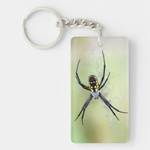 Argiopeの庭くものアクリルKeychain キーホルダー