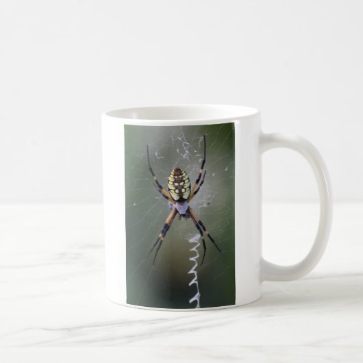 Argiope Aurantia コーヒーマグカップ (右)