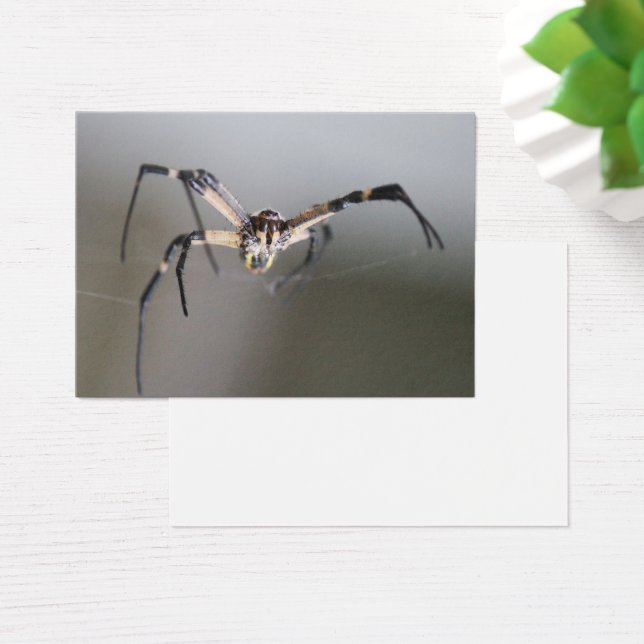 Argiope Spider Lover Gift (デスク)