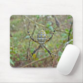 Argiope trifasciata Orb Weaver Spider マウスパッド (マウス)