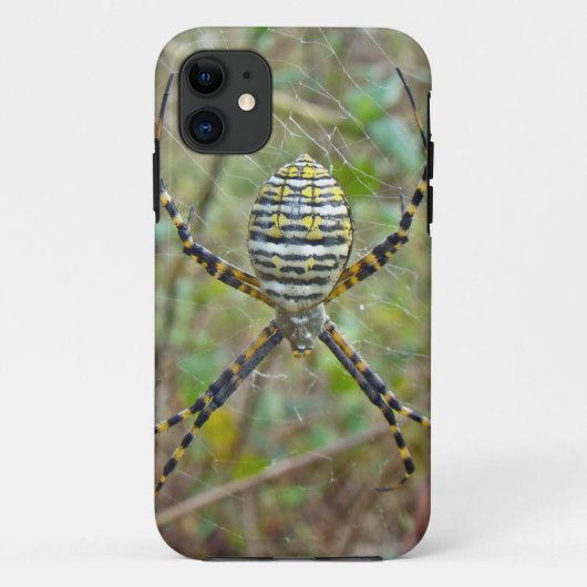 Argiope trifasciata Orb Weaver Spider Case-Mate iPhoneケース (裏面)