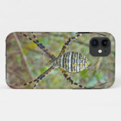 Argiope trifasciata Orb Weaver Spider Case-Mate iPhoneケース (裏面(横))