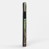Argiope trifasciata Orb Weaver Spider Case-Mate iPhoneケース (裏面/右)