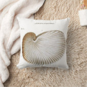 Argonautaの貝殻かビーチまたは航海のな装飾用クッション クッション (ブランケット)