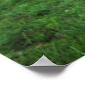 Ariaサマーポスター ポスター (角)